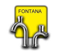 cristina fontana