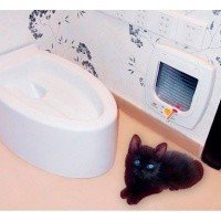 Туалет для кошек KOPFGESCHEIT KG7010DC, Автоматический унитаз