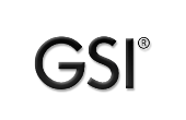 GSI GSI