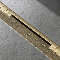 Hansgrohe RainDrain Flex 56050990 Трап для душа 700 мм - внешняя часть (золото полированное)