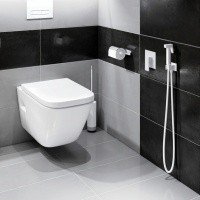 Timo Selene 2089/16SM Гигиенический душ - комплект со смесителем (белый матовый)