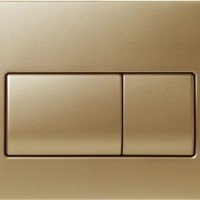 Valsir P1 VS0871340 Накладная панель смыва для унитаза (золото матовое)