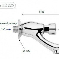 REMER TE225 Порционный настенный кран для раковины (хром)