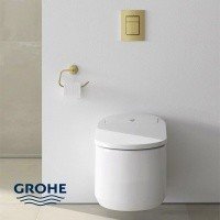 GROHE Essentials 40689GN1 - Держатель туалетной бумаги (холодный рассвет - шлифованный)