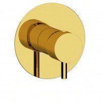 Remer Minimal NT30DO Термостатический смеситель для душа (золото полированное)