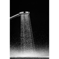 Hansgrohe Raindance Select S 26014670 Ручной душ (чёрный матовый)