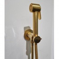Bossini Paloma Brass E37005B.043 Гигиенический душ - комплект с прогрессивным смесителем (золото шлифованное)