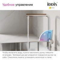 IDDIS Rule RULSBL0i05 Высокий смеситель для кухни (хром)