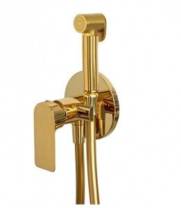 Remer Infinity I65WDO Гигиенический душ со смесителем (золото)