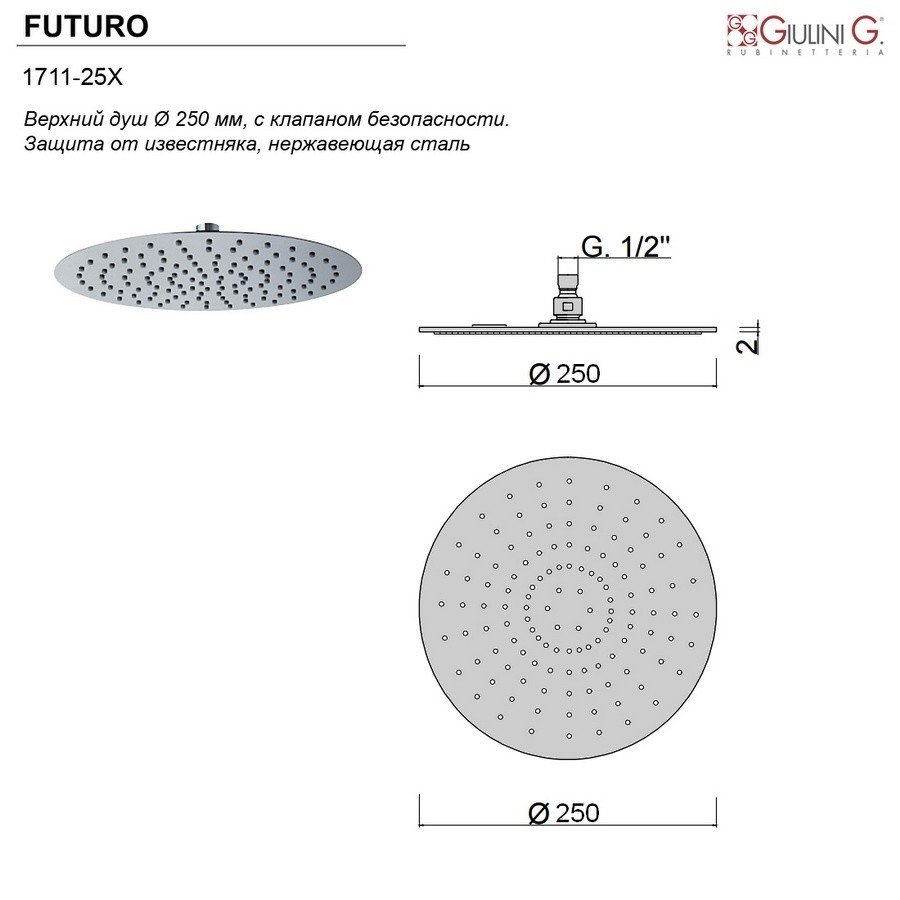 Giulini Futuro F1711-25XNKO Верхний душ Ø 250 (никель матовый), в ...